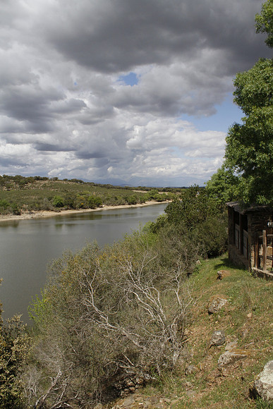 Portilla del Tietar, Monfrague, Extremadura, Spain - April 2012
