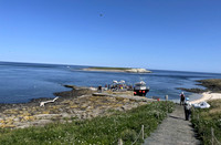Farne Islands, Northumberland - July 2025