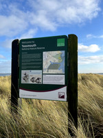 Seaton Snook, County Durham - January 2026