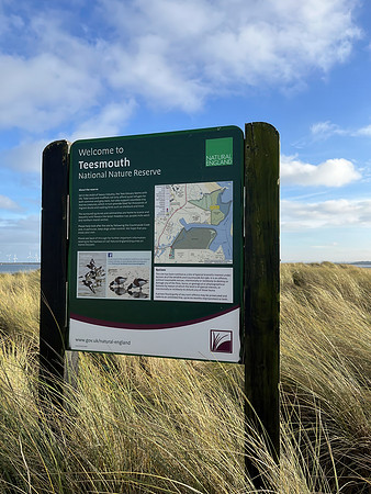 Seaton Snook, County Durham - January 2026