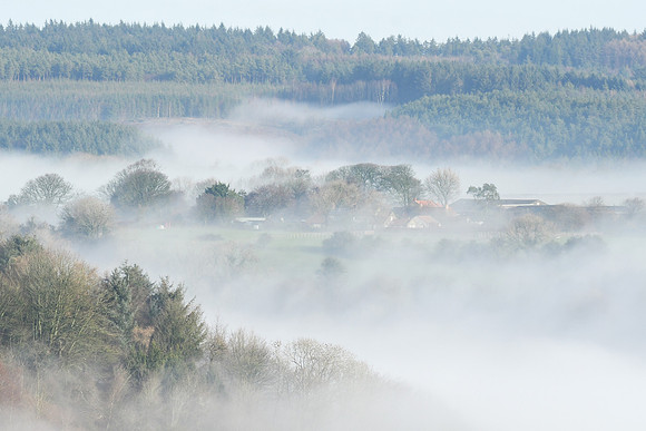 Broxa Forest & Troutsdale, viewed from Wykeham Forest - January 2026