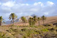 Barranco de Equinoz, Fuerteventura - March 2026