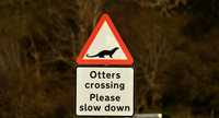 Otter road sign, Isle of Mull, Scotland - April 2026