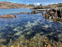 Clear waters of Fionnphort, Isle of Mull, Scotland - April 2026