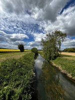 Ruston Carr Bridge - May 2026