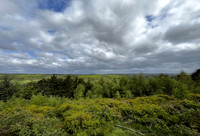 View looking north across Troutsdale, Wykeham Raptor Viewpoint - May 2026