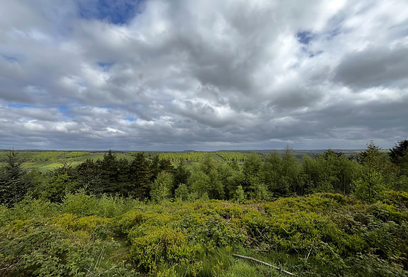 View looking north across Troutsdale, Wykeham Raptor Viewpoint - May 2026