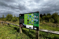 Wykeham Raptor Viewpoint - May 2026