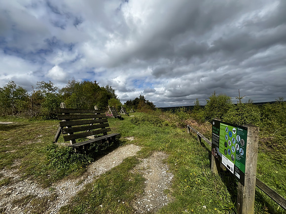 Wykeham Raptor Viewpoint - May 2026