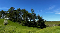 Yatts Farm, near Pickering - May 2026