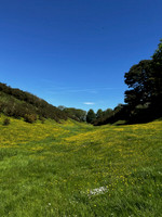 Yatts Farm, near Pickering - May 2026