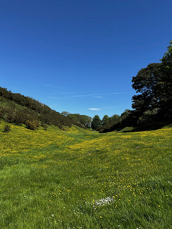 Yatts Farm, near Pickering - May 2026