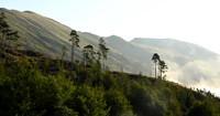 Scottish Highlands - August 2025