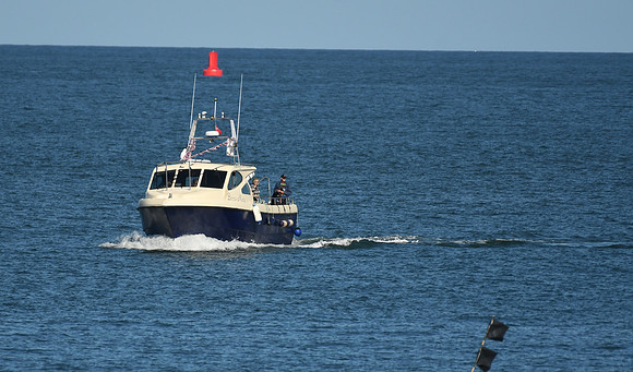 Dolphin watchers, North Bay, Scarborough - October 2026