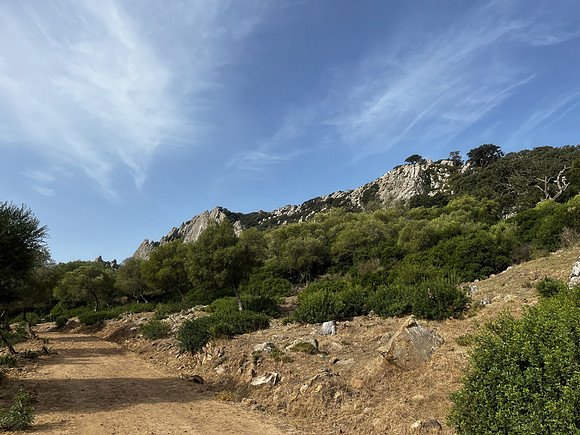 Laja de la Zarga, Bolonia, Spain - September 2026