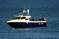 Dolphin watchers, North Bay, Scarborough - October 2026