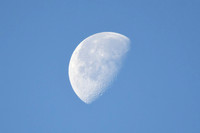 Daytime moon, Crook Ness, Burniston - October 2026